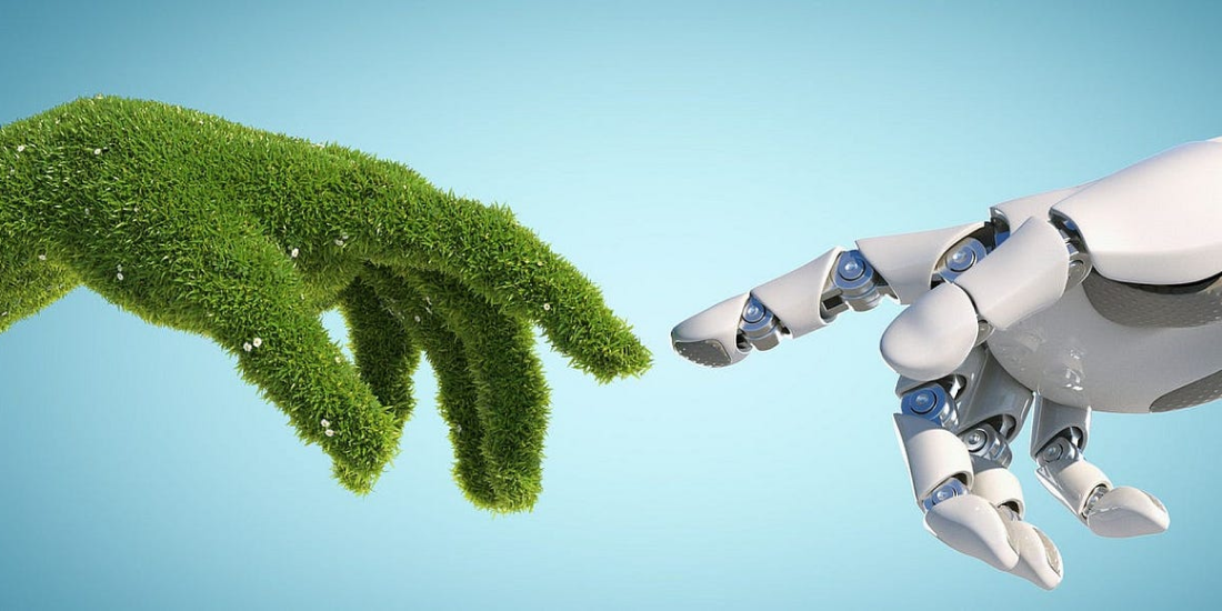 Sustainability and AI: Tackling Climate Change with Smart Technology